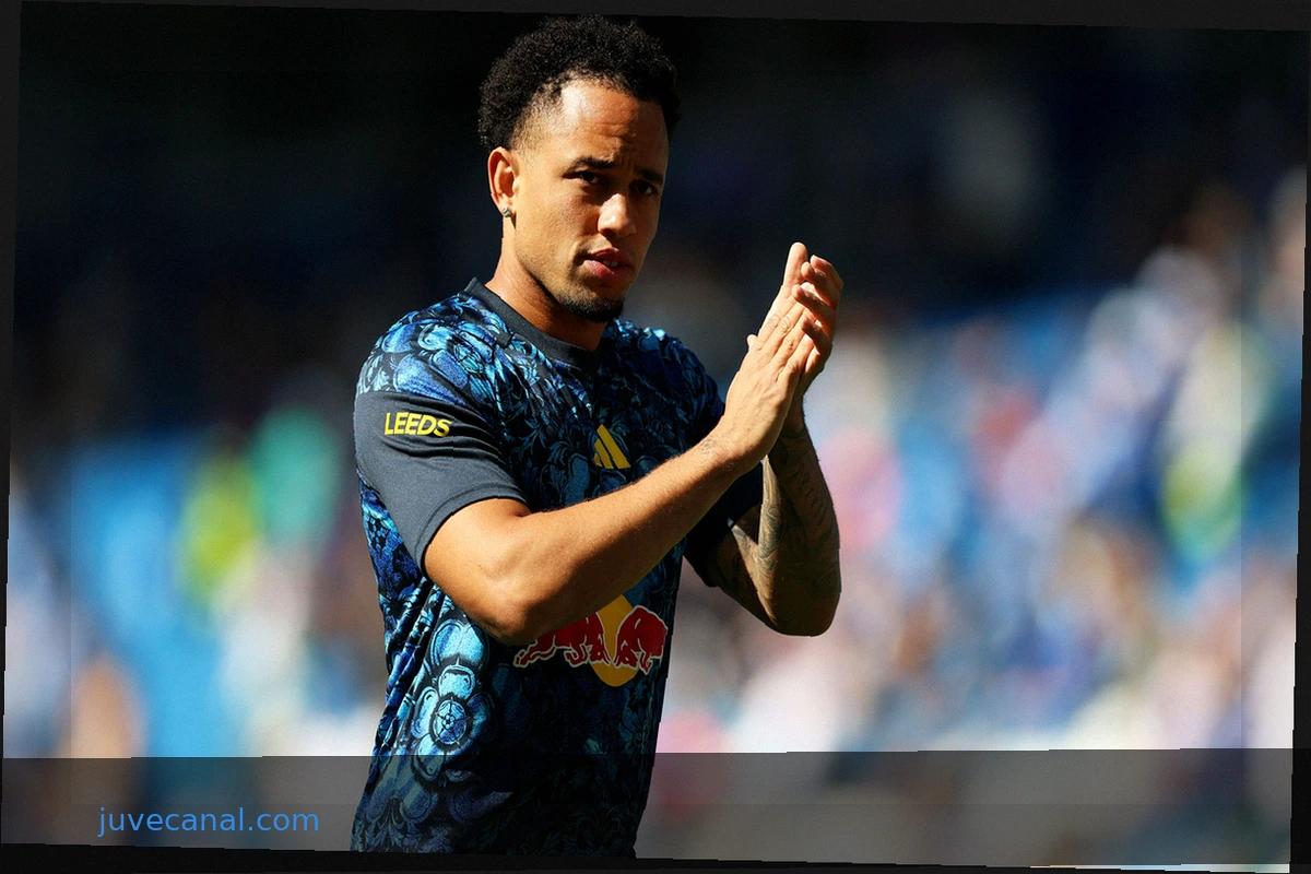 Premier League Star Noah Okafor Retires from Switzerland National Team at 26 Amidst Serious Allegations Against Coach