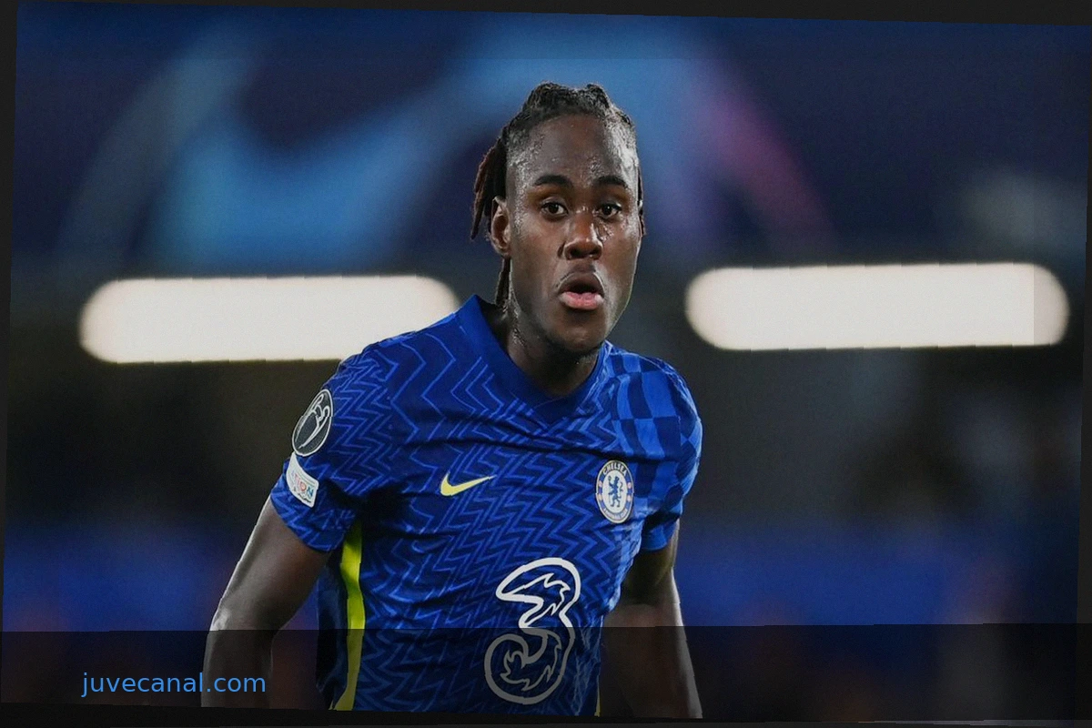Inter Focuses on Trevoh Chalobah for Defense After Failed Solet Deal