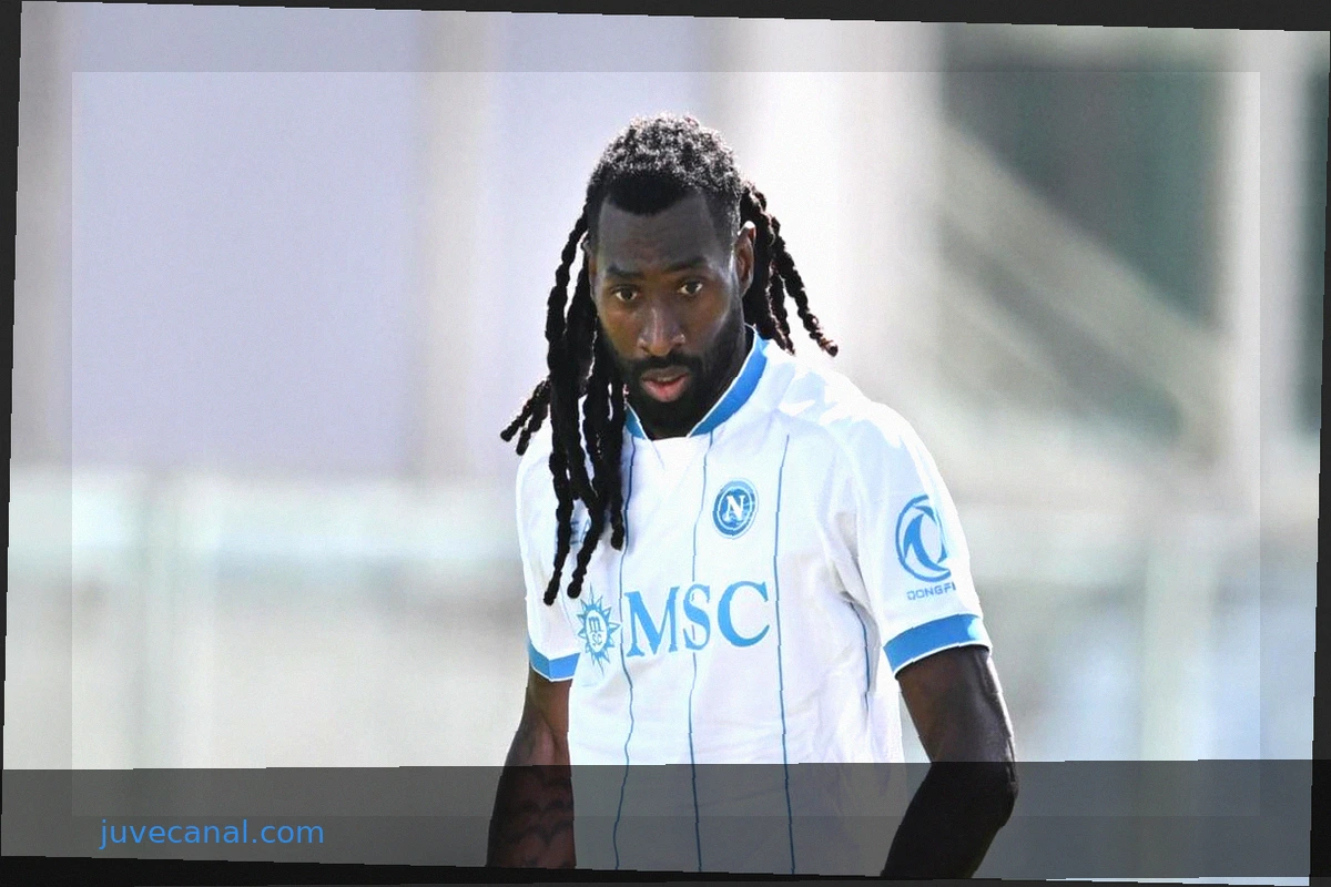 Anguissa to Inter? Key Factors to Consider